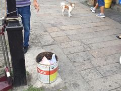 -鸡脚旮旯平江路店