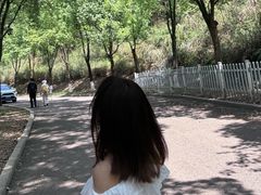 -铁山坪森林公园