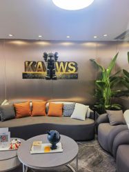 -INS羽毛接发·巴黎画染