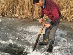 -白洋淀锅里口灶台鱼
