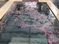 -苏州湾王焰温泉度假酒店