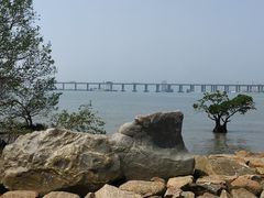 -宝安西湾红树林湿地公园