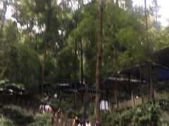 -都江堰普照寺