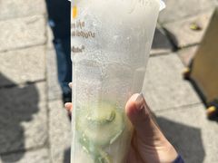 -猫的魔法密林(衣裳街店)