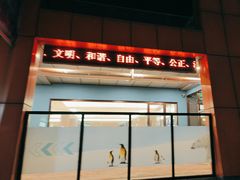 -海合安武汉极地海洋公园