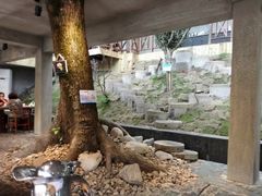大堂-天怡·鱼工厂(梅溪湖店)