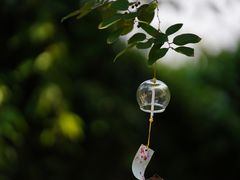 -老门东历史文化街区