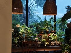 -自由生长植物工作室(深港花卉中心店)