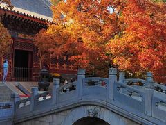 -香山公园