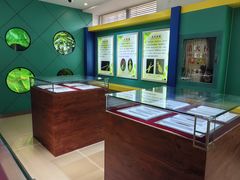 -上海昆虫博物馆