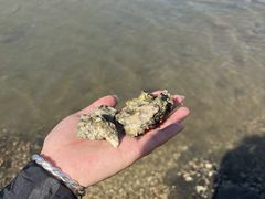 -兴城海滨风景区