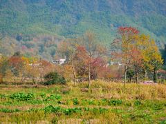 -塔川景区