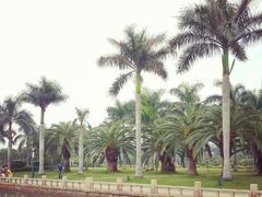 android_upload_pic-白鹭洲公园