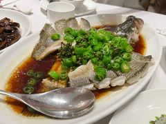 -新吉士·上海菜(浦东LCM置汇旭辉店)