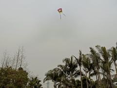 -重庆园博园