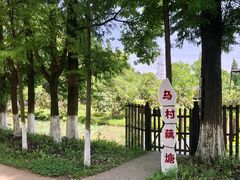 -乌村