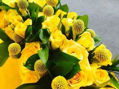 -京基滨河时代广场