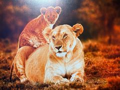 -罗红摄影艺术馆