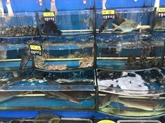 -渔中舟海鲜大排档(普陀沈家门店)