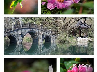 唯有牡丹真国色，打卡这个宝藏园子