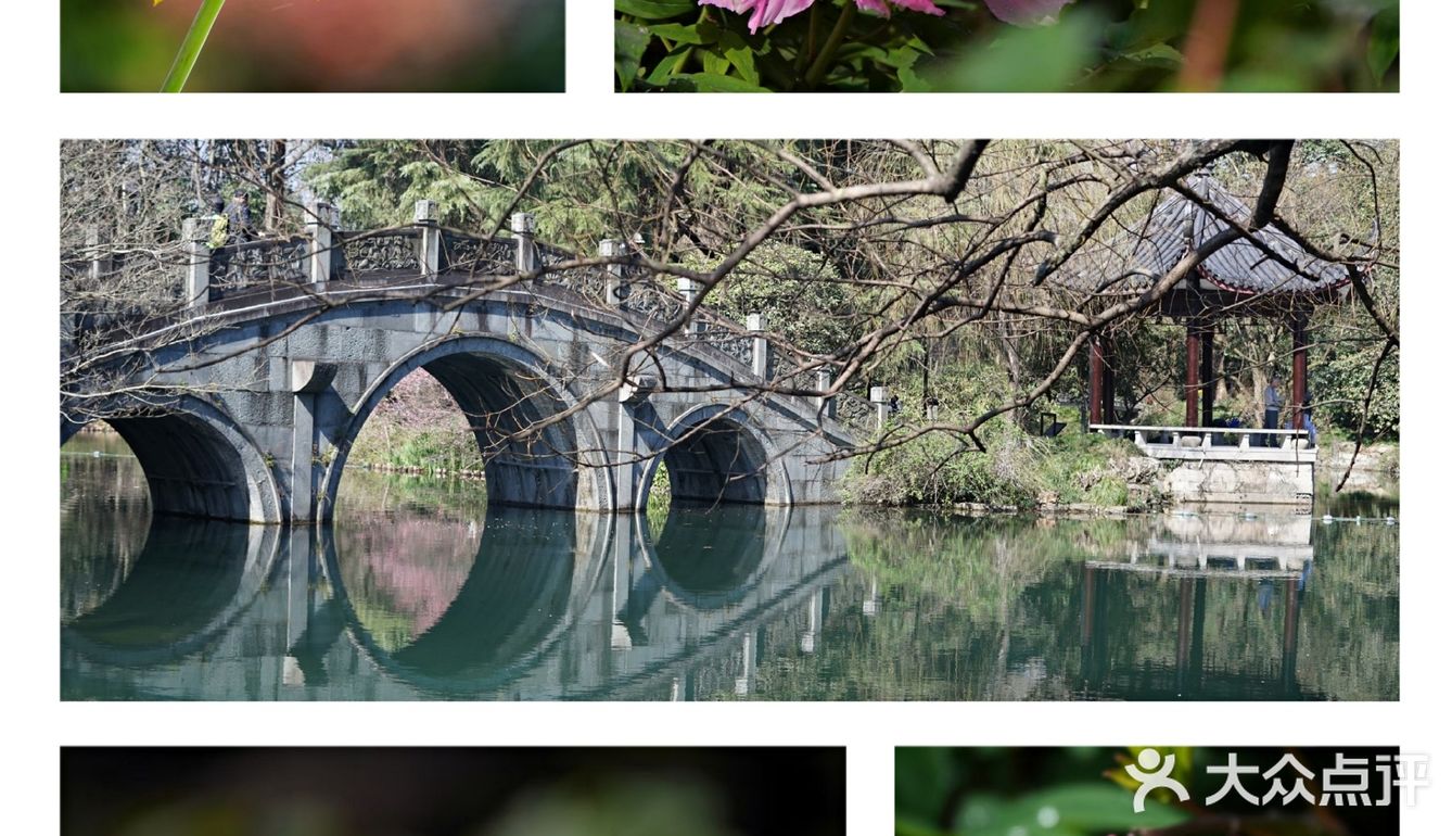 唯有牡丹真国色，打卡这个宝藏园子