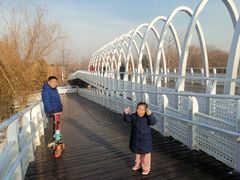 -大兴滨河森林公园