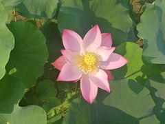 -韶山毛泽东同志故居