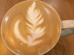 -Gloria Jean's Coffees