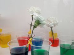 -斯坦星球AI编程·机器人科创·科学实验·信奥·思维·STEM·积木拼搭·竞赛考级(浦东联洋广场大拇指龙阳御桥中心)