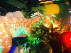 -恐龙探索乐园(磁器口店)