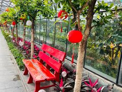 -南宫五洲植物乐园