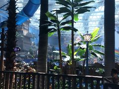 -青岛东方影都融创水世界