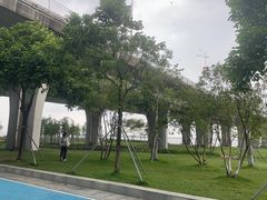 -滨海公园