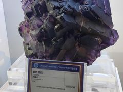 -中国地质大学逸夫博物馆