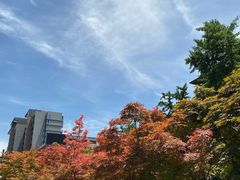 -木塔寺遗址生态公园