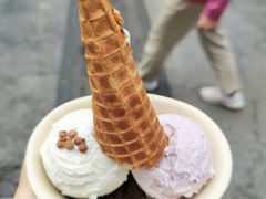 -Mint Gelato(二厂店)