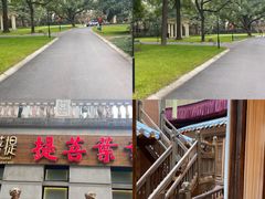 -叶叶菩提·晋福宫