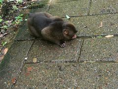 -西岭雪山大飞水景区