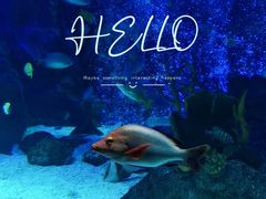 -沈阳海洋探索中心