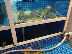 -金龙·打边炉(南京西路店)