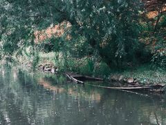 -上海浦江郊野公园-3号停车场