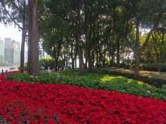 -北外滩滨江绿地