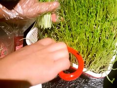 -番食园鲜食火锅(高新店)