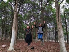 -艾溪湖湿地公园