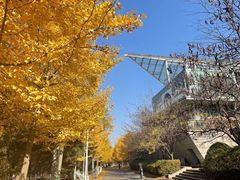 -长白岛森林公园