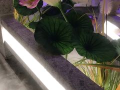 -荷塘秋月·本帮江浙菜(国权路店)