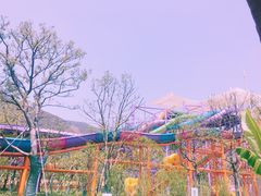 -苏州乐园森林水世界