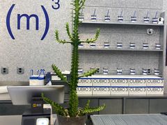 -CUBIC3三立方咖啡(凌空SOHO店)