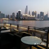 吹着夏风,目光追随着那一只只江鸥,自由地翱翔在浦江上空