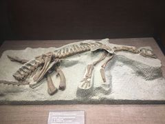 -自贡恐龙博物馆